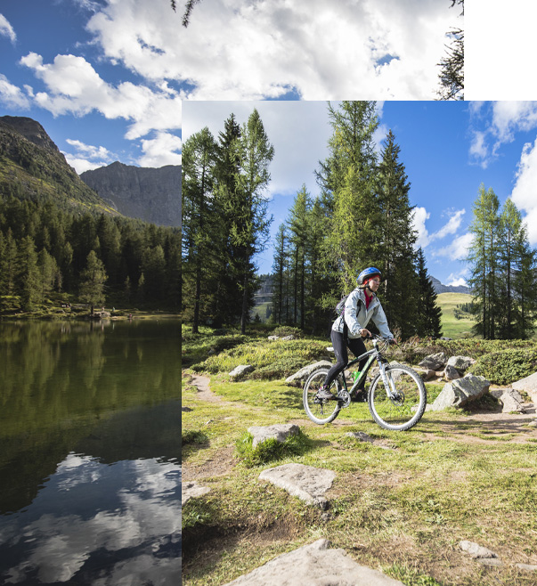 Experience the Mountains